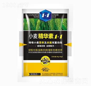 С�����A��1+1-��(��i)���_(d��)