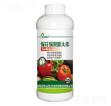 �������������-��ɵ�-���w�~��