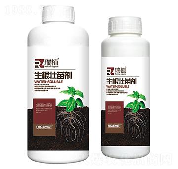 �������焩-��ֲ-���w�~��