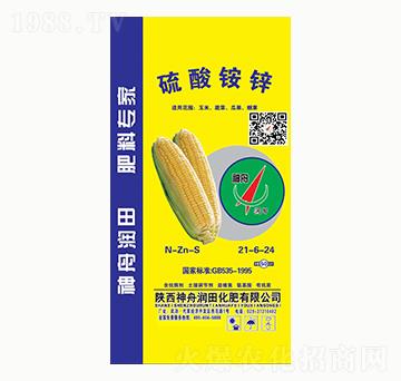 �����@�\21-6-24-���۝�(r��n)��