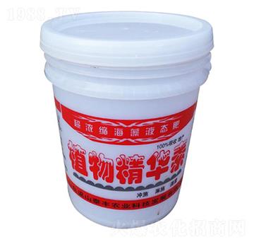 ֲ�ﾫ�A��-��ɽ̩�S