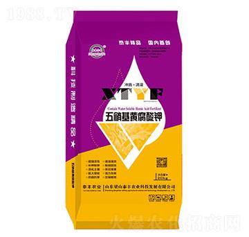 �������S�����-��ɽ̩