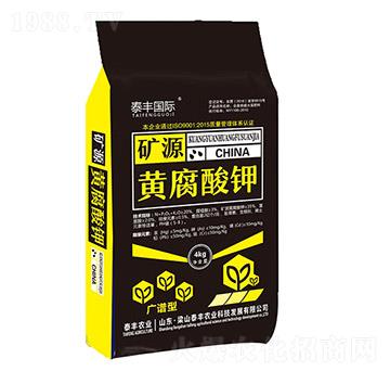 �V�V�͵VԴ�S�����-��