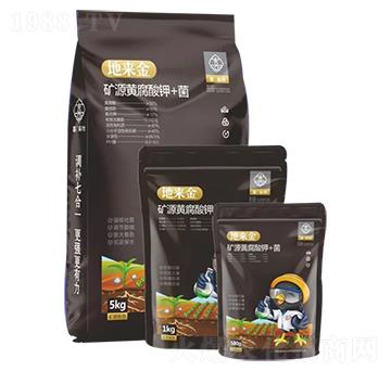 �VԴ�S�����+��-�؁�(l��i)��-ϲ��(l��i)��