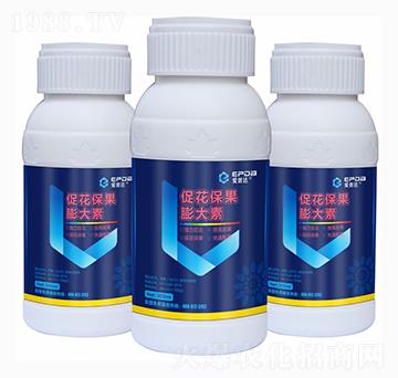 �ٻ���������أ�ƿ��-�����_