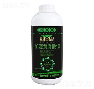 �VԴ�S�����-�ڽ�-�����_(d��)