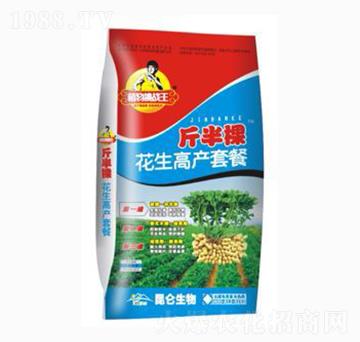 �����߮a�ײ�-����-�����_