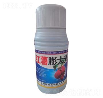 �t�������-�����_