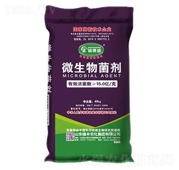 ΢�������-ֲ�S�r(n��ng)��