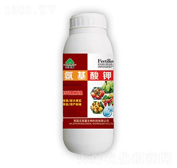 �������-�|���S