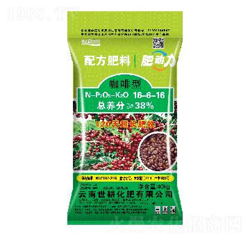 ���Ȍ�(zhu��n)���䷽����16-6-16-����