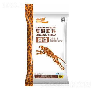 ϲ����(f��)�����24-0-5-����