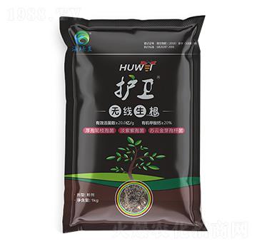 �o(h��)�l(w��i)���o������-���G��