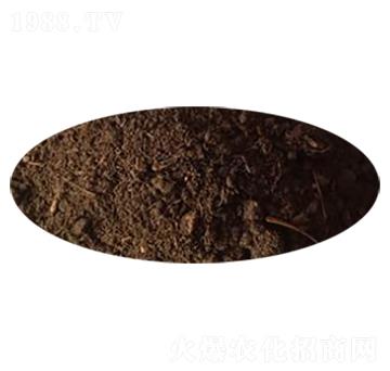 ţ�S-���l(f��)����