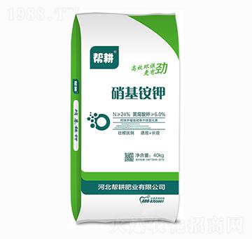 �����@�-�͸��ʘI(y��)