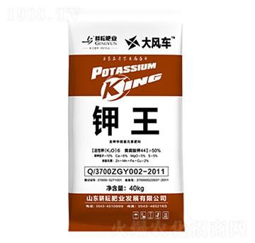 ���L܇���-���ŷʘI(y��)