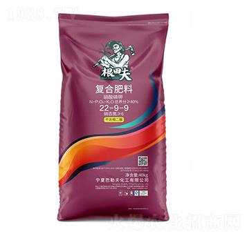 �ͺϷ���22-9-9-�����-���շ�