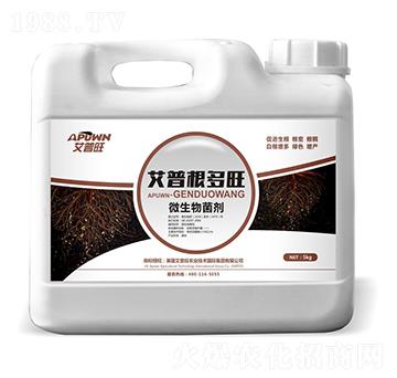 5kg΢�������-������-������