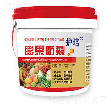 �o(h��)���������-�r(n��ng)��