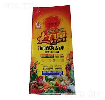 �����}�-������-���r(n��ng)