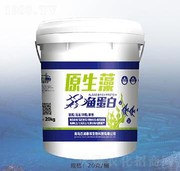 ԭ�����~����-�ٝ��ݰ�