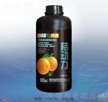 �ۄ�(d��ng)��-�ٝ�(r��n)�ݰ�