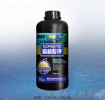 ��ֲ���-�ٝ�(r��n)�ݰ�