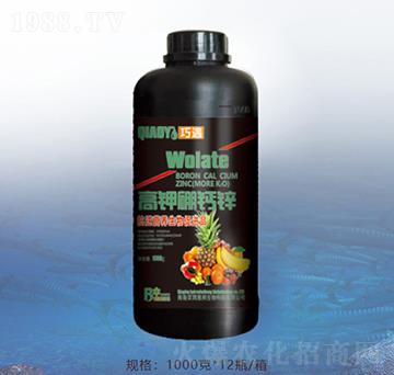 ������}�\-�ٝ��ݰ�