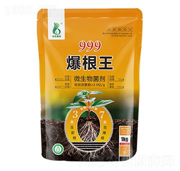 999������-���r(n��ng)�W��