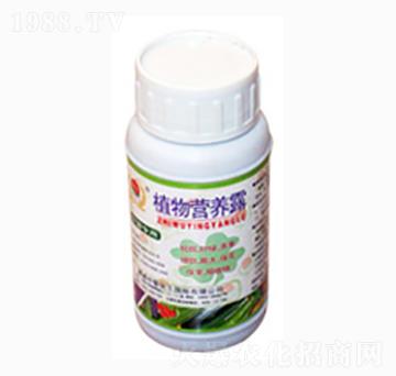 ֲ��I�B(y��ng)¶-�r(n��ng)������