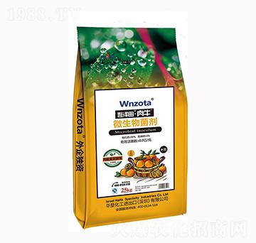 ΢������� ������