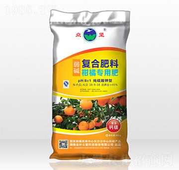 ���ٌ������A�ͺϷ���-����