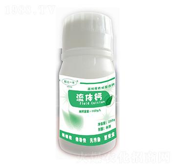 �߼����ЙC(j��)�����}-���w�}-ϲ�G��(r��n)�S