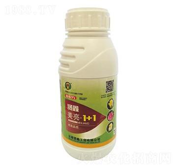 ����1��1-�t��