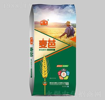 �������-����-�t�׻���