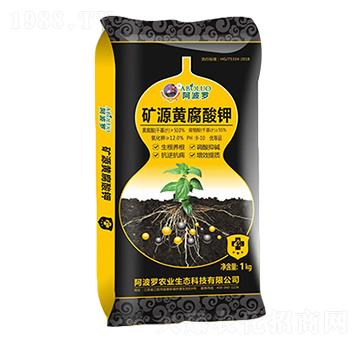 �VԴ�S�����-�����_