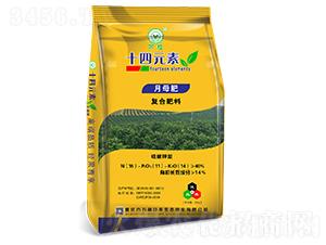 ʮ��Ԫ�؏�(f��)�Ϸ���15-11-14����ĸ�ʣ�-�f(w��n)ֲ