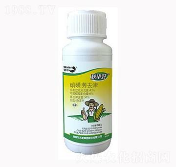 ����ݬȥ��-������-������