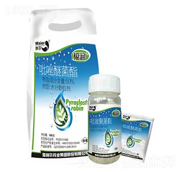 50%�����Ѿ���-�O��-������