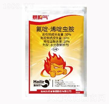 ���ϩ��x(ch��ng)��-��Ƣ��-������