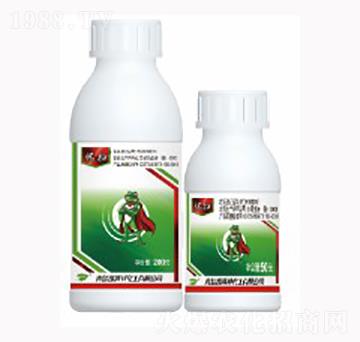 20%���x(ch��ng)�������x(ch��ng)����-�a��-������