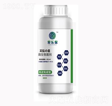 �߲ˌ��ÿ���������΢�������-�����