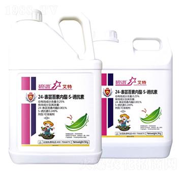 24-���|̦�؃�����S-�T����-����-�����