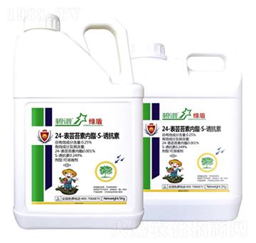 24-���|̦�؃�����S-�T����-�G��-������r