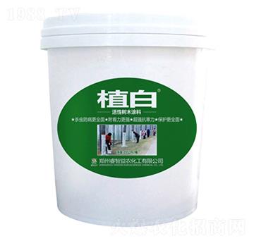 20����ֲ�׻��Ԙ�(sh��)ľͿ��-������r(n��ng)