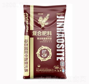 �񲶏ͺϷ���25-12-6-����