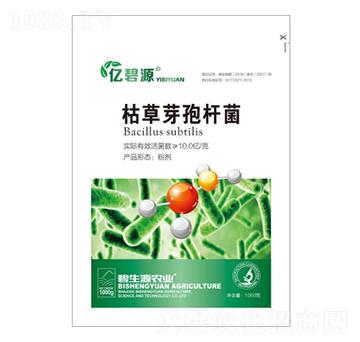 �ݲ�ѿ�ߗU��-�|�r�߿�