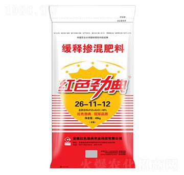 49%��ጷ�26-11