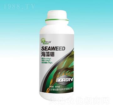 ������-��ԣ��