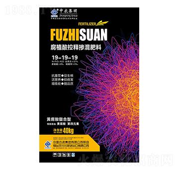 ��ֲ���ጓ������19-19-19-���r-���r�r�I(y��)